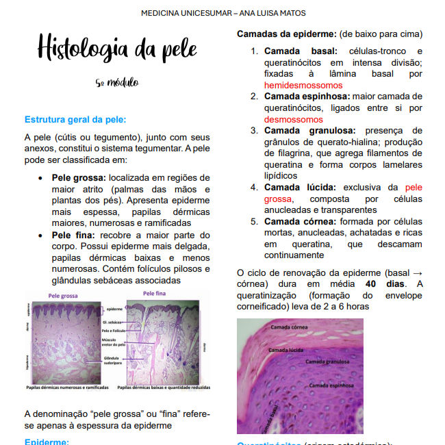 Histologia da pele