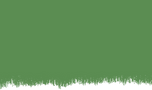 green-bg.png