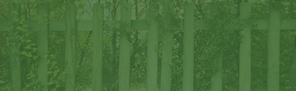 tree-bg.png