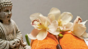 Développez vos talents en bien-être grâce à la formation continue