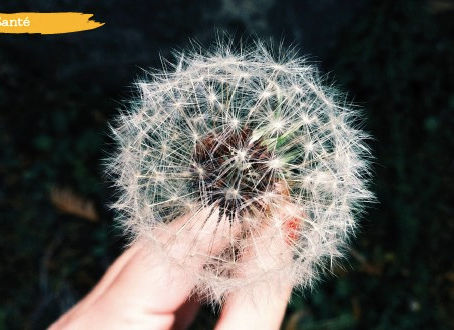 Rhinite allergique : comment la soigner naturellement ?