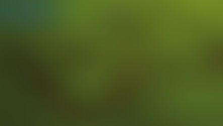 Le Bio est-il votre choix ?