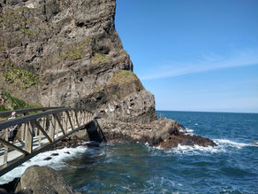 🌊 The Gobbins: la ruta costera más espectacular de Irlanda del Norte!