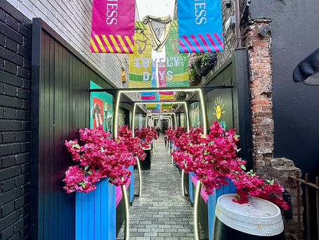 🌦 Clima y mejor época para viajar a Belfast