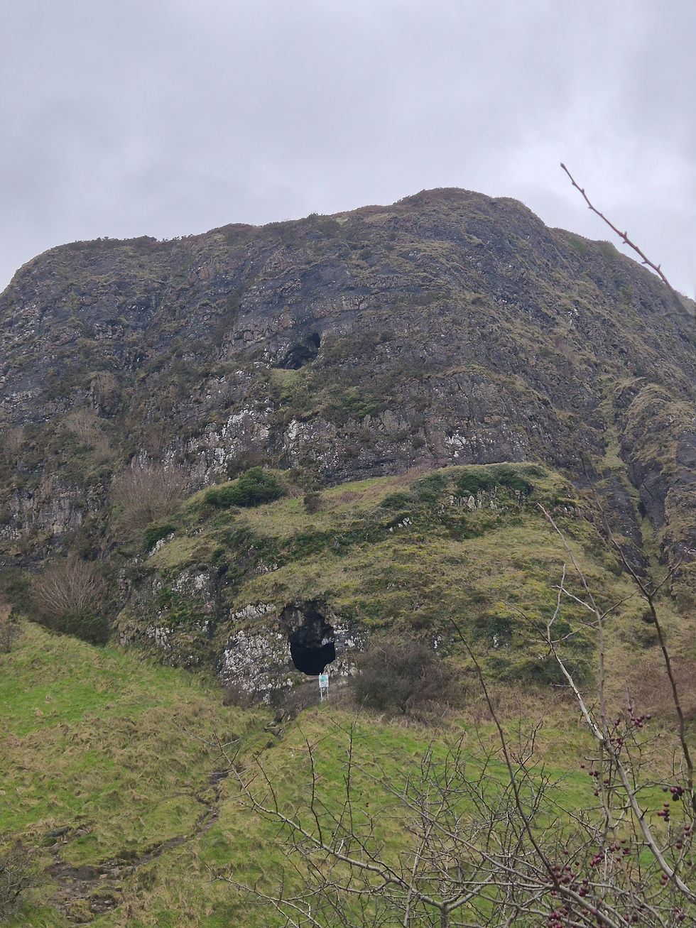 Entrada a una de las cuevas naturales que se encuentran en Cave Hill