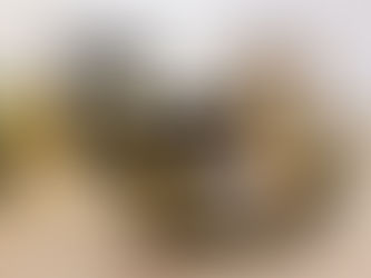 Meble dziecięce – drewniane czy z płyty meblowej?