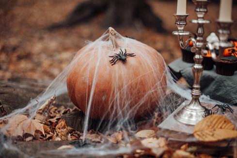 homemade-halloween-horrible-treats-cupcakes-sweets-with-spiders-creepy-ghosts-spooky-bat-f