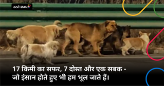 17 किमी का सफर, 7 दोस्त और एक सबक - जो इंसान होते हुए भी हम भूल जाते हैं।