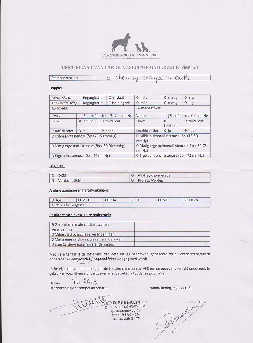 oshea hearttest 7jan2019 part2.jpeg.jpeg