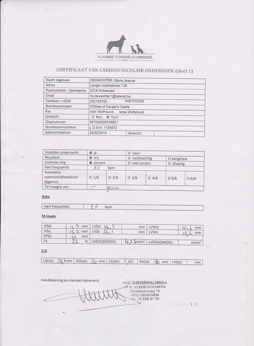 oshea hearttest 7jan2019.jpeg