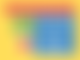 Kids are not Little Adults 