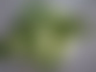 My balcony makeover and how to turn an expensive fruit into a lovely decoration.