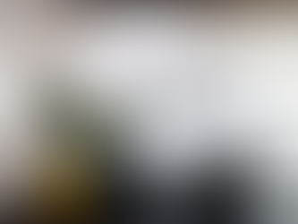 Alpine Ibex - the beauty of the mountain