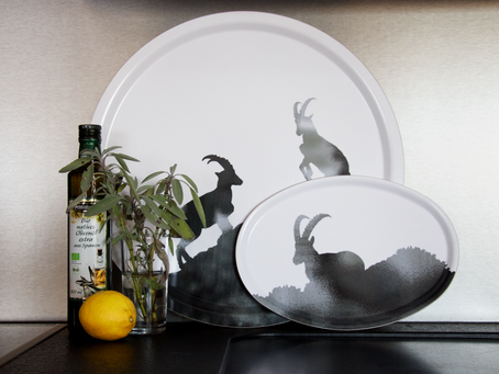 Alpine Ibex - the beauty of the mountain