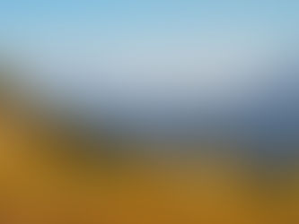 The top 1 place to be right now!