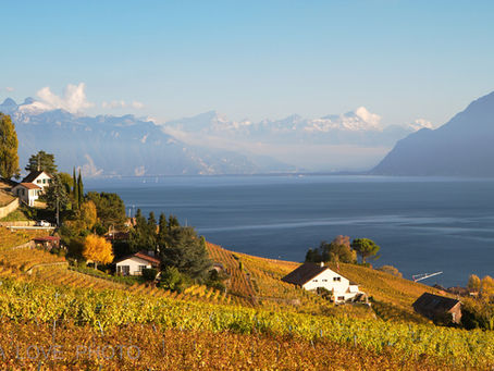 The top 1 place to be right now!