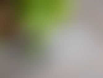 3 tips of how to manage the autumn season.