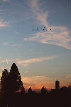 B159DAEF-6FB7-48C7-AA86-D681EF8C3698.jpeg