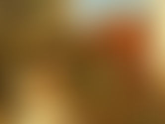 El Cinismo filosófico