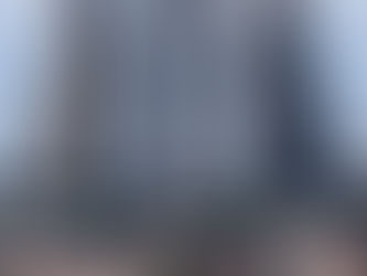 El Estado Total de Carl Schmitt