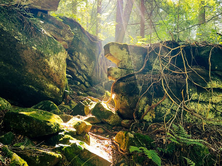 Beautiful waterfall reminds us that we are connected energetically by a chakra system. 
