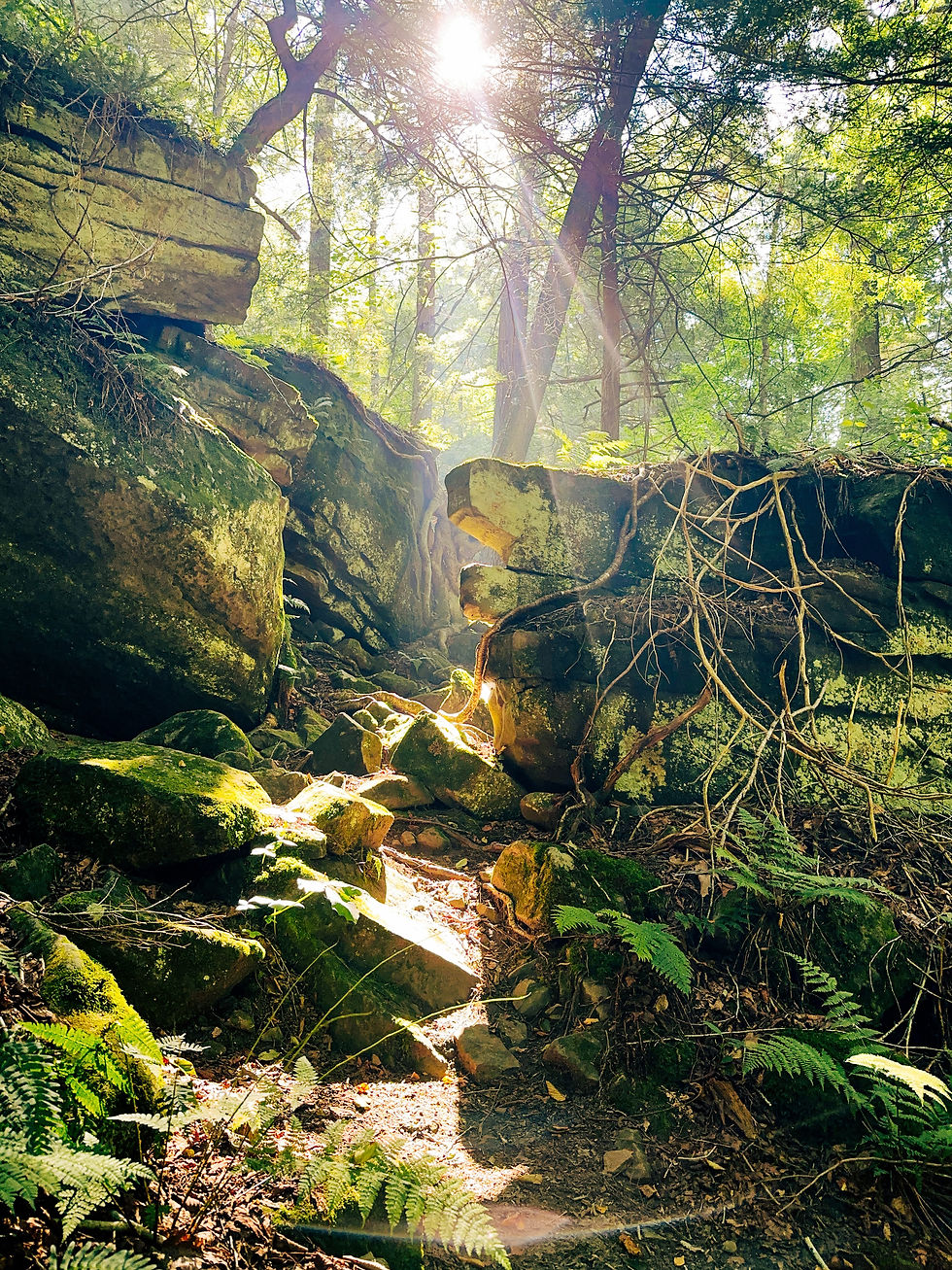 Beautiful waterfall reminds us that we are connected energetically by a chakra system. 