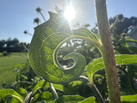 Grief, Letting Go & Creating Space for Healing