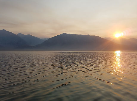 crowley lake fishing guide
