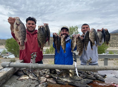 sacramento perch fishing trips guided