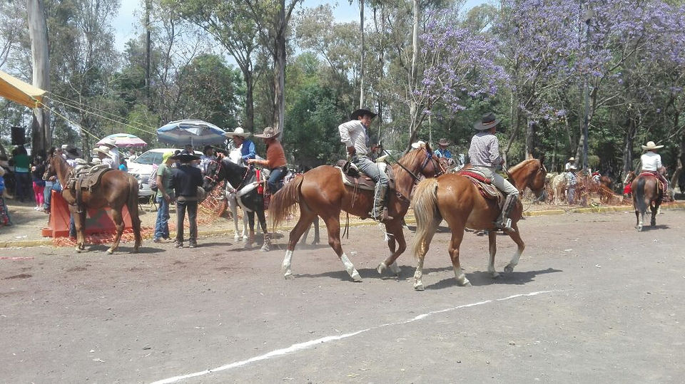 Cabalgata (1)