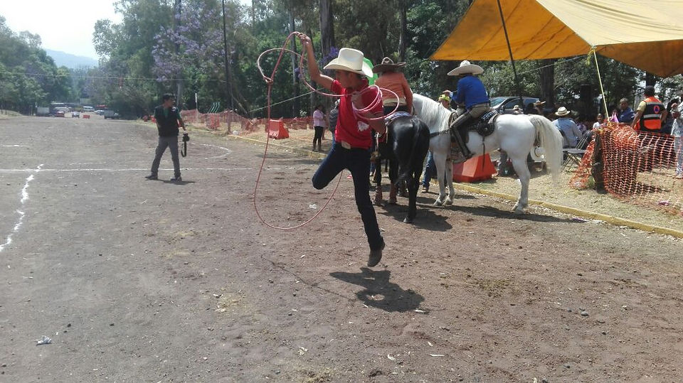 Cabalgata (5)