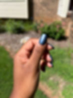 Thumbnail: A Steel Horse I Ride