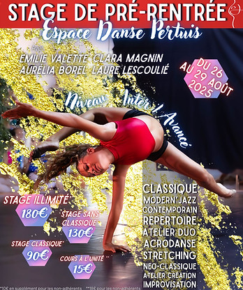 Stage Pré-rentrée Espace Danse 2025.jpeg