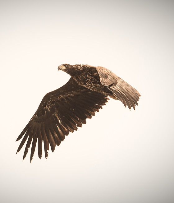 Image by Benaja Germann