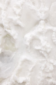 Cópia de 240531_caroco_69.jpg