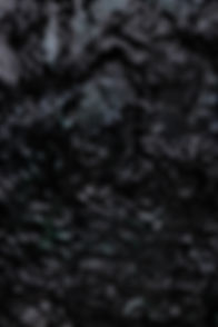 Cópia de 240531_caroco_62.jpg