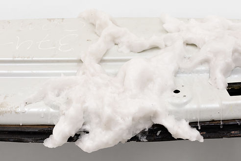 Cópia de 240605_caroco_105.jpg