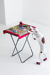230608_caroco-019.jpg