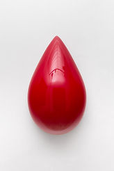 240830_caroco_046.jpg