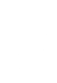 Asset 3.png