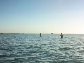 Waders fishing the flats.