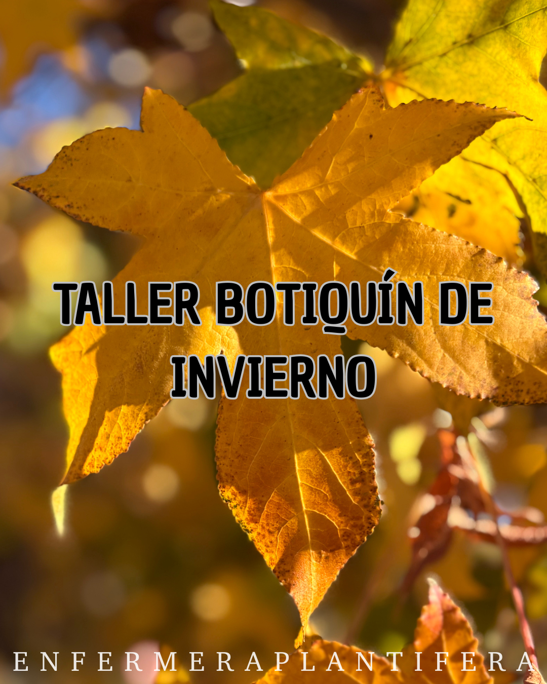 Taller Botiquín de invierno