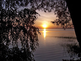 f_35558.jpg