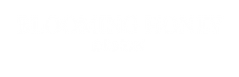 BHD Logo