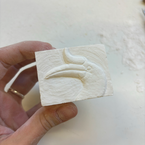 Rhinoceros Hornbill in plaster, 2024