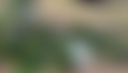 Oxford Real Farming Conference