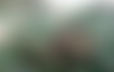 The Wildervore Approach