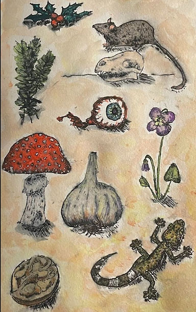 Witch's notebook painting_edited.jpg