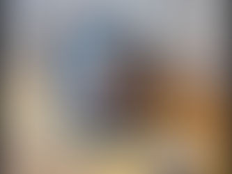 DIY Cat Snack Roll: A Simple and Fun Toy for Your Cat