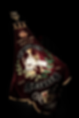 Vaandel 1 - 9X1A4651 b.png
